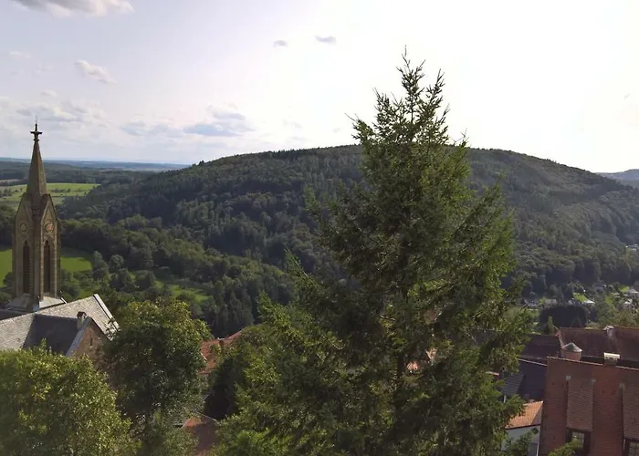 Historisches Veste Dilsberg Casa vacanze *